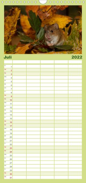 Produktbild: Familienplaner Weltnaturerbe Hainich (Wandkalender 2022 , 21 cm x 45 cm, hoch)