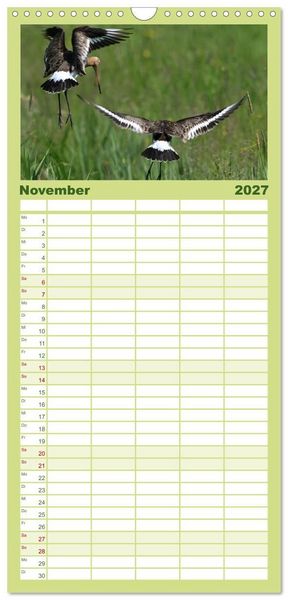 Produktbild: Familienplaner 2027 - Die bedrohten Uferschnepfen mit 5 Spalten (Wandkalender, 21 x 45 cm) CALVENDO