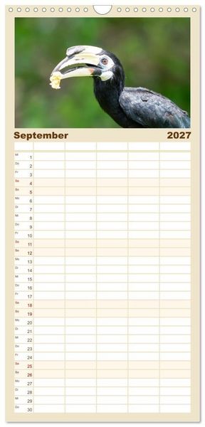 Produktbild: Familienplaner 2027 - Zwischen Nebel und Baumriesen - V&ouml;gel Borneos mit 5 Spalten (Wandkalender, 21 x 45 cm) CALVENDO