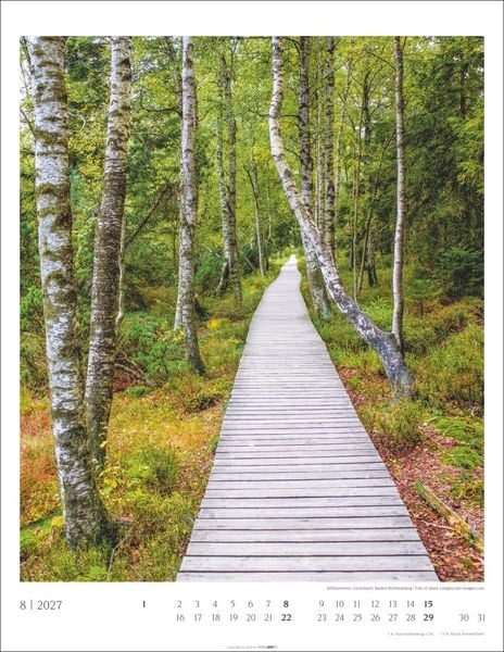 Produktbild: Heimische W&auml;lder Kalender 2027