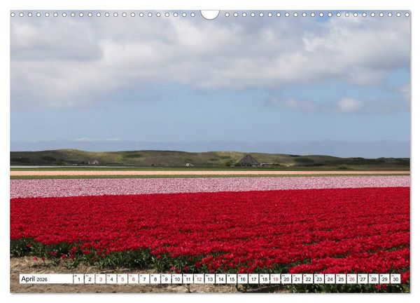 Produktbild: Callantsoog (Wandkalender 2026 DIN A3 quer), CALVENDO Monatskalender