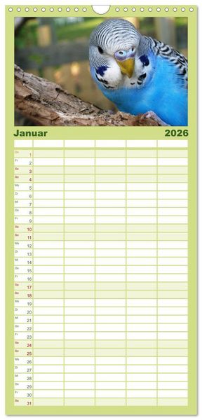 Produktbild: Familienplaner 2026 - Wellensittiche mit 5 Spalten (Wandkalender, 21 x 45 cm) CALVENDO