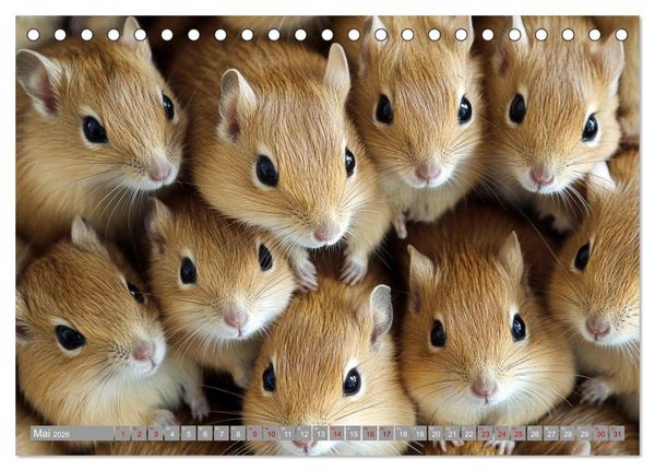 Produktbild: Maus im Haus - der Gerbil Kalender (Tischkalender 2026 DIN A5 quer), CALVENDO Monatskalender