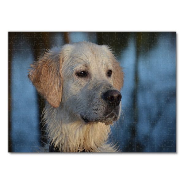 Produktbild: Lais Puzzle Hund 500 Teile