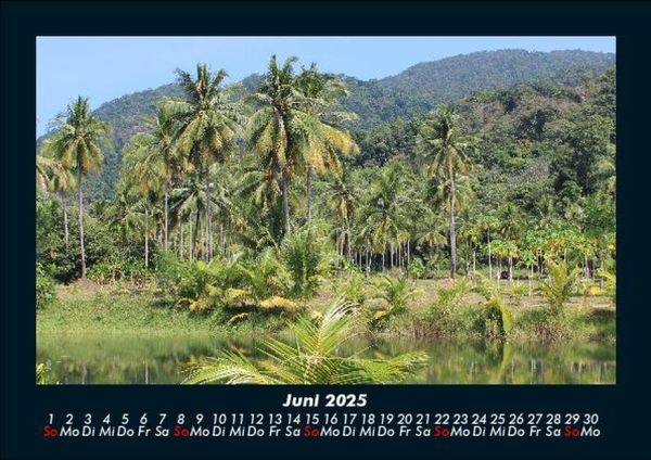 Produktbild: Palmentraum 2025 Fotokalender DIN A5
