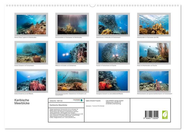 Produktbild: Karibische Meerblicke (hochwertiger Premium Wandkalender 2026 DIN A2 quer), Kunstdruck in Hochglanz