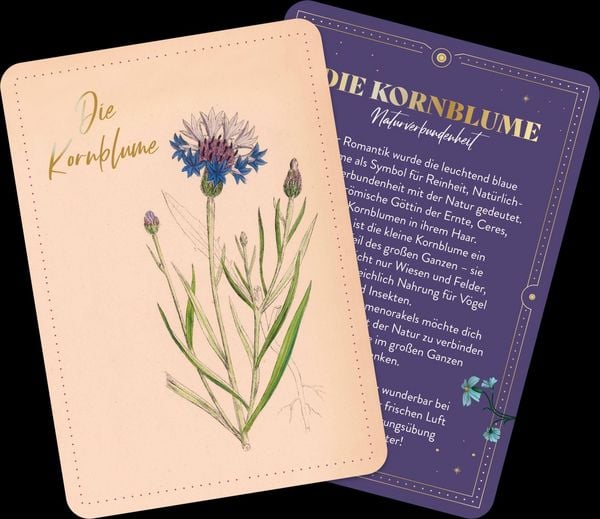 Produktbild: Die geheimnisvolle Sprache der Blumen &ndash; 50 Orakelkarten f&uuml;r das ganze Jahr