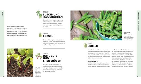 Produktbild: Hochbeet