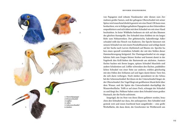 Produktbild: Das gro&szlig;e Buch der Evolution