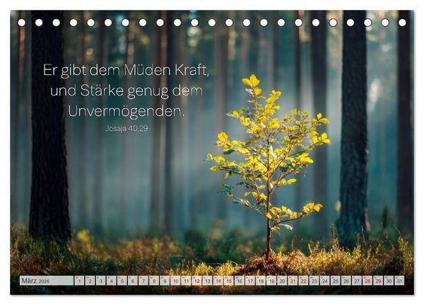 Produktbild: Psalmen und Bibelverse - Himmlische Botschaften (Tischkalender 2026 DIN A5 quer), CALVENDO Monatskalender
