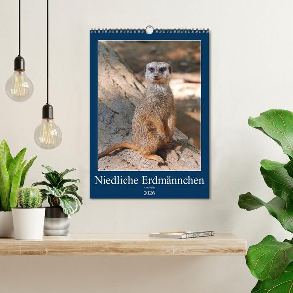 Produktbild: Niedliche Erdm&auml;nnchen (Wandkalender 2026 DIN A3 hoch), CALVENDO Monatskalender