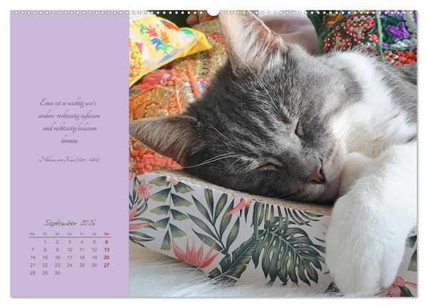 Produktbild: H&auml;ng einfach mal ab (hochwertiger Premium Wandkalender 2026 DIN A2 quer), Kunstdruck in Hochglanz