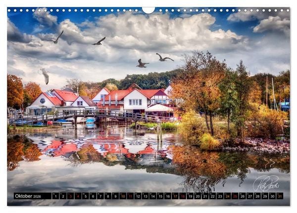 Produktbild: Am Steinhuder Meer (Wandkalender 2026 DIN A3 quer), CALVENDO Monatskalender