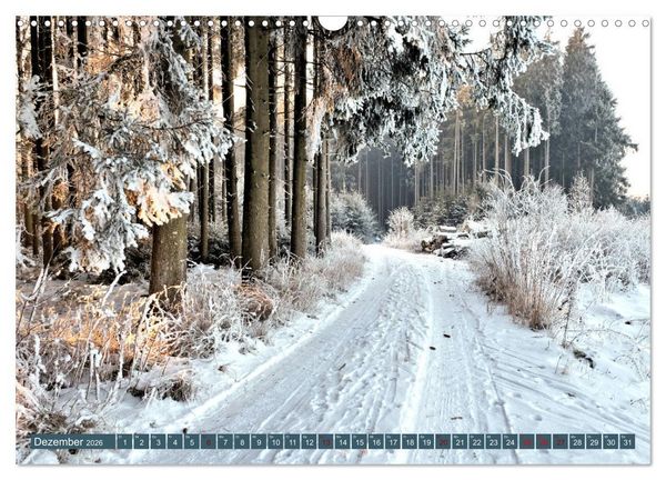 Produktbild: Wiesen W&auml;lder Weiher. Der Naturpark Augsburg-Westliche W&auml;lder (Wandkalender 2026 DIN A3 quer), CALVENDO Monatskalender