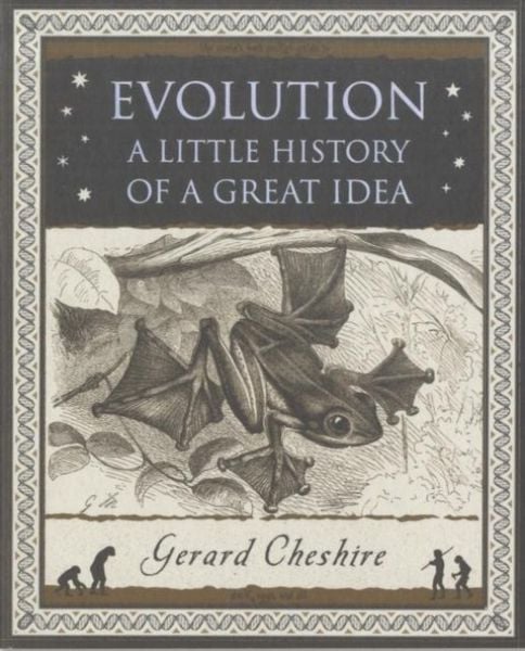 Produktbild: Evolution