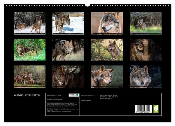 Produktbild: Wolves, Wild Spirits (High Quality Premium Wall Calendar 2026 DIN A2 landscape),CALVENDO 12 Month Wall Calendar