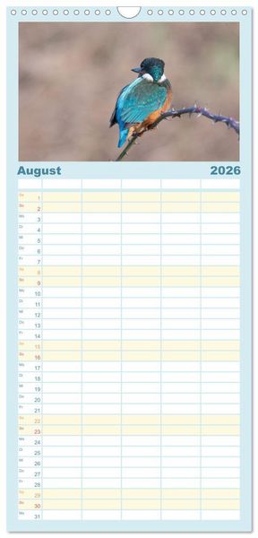 Produktbild: Familienplaner 2026 - Eisvogel im Portr&auml;t mit 5 Spalten (Wandkalender, 21 x 45 cm) CALVENDO