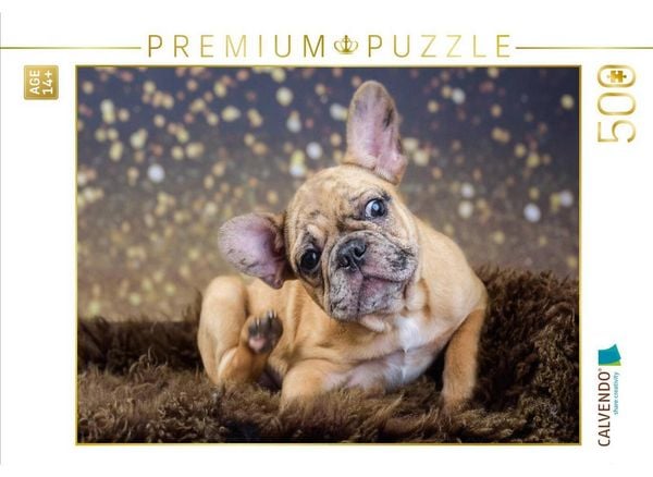 CALVENDO Puzzle French-Bullterrier | 500 Teile Lege-Größe 48 × 36 cm Foto-Puzzle für Erwachsene