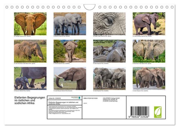Produktbild: Elefanten Begegnungen im &ouml;stlichen und s&uuml;dlichen Afrika (Wandkalender 2026 DIN A4 quer), CALVENDO Monatskalender