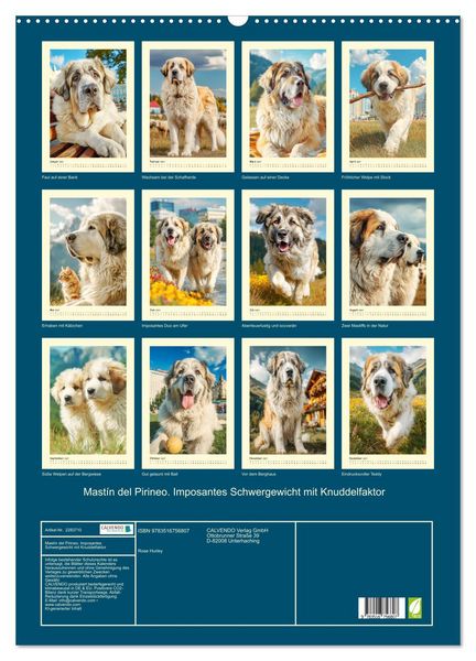 Produktbild: Mast&iacute;n del Pirineo. Imposantes Schwergewicht mit Knuddelfaktor (Wandkalender 2027 DIN A2 hoch), CALVENDO Monatskalender