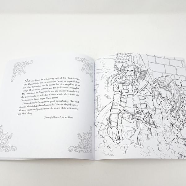Produktbild: Das gro&szlig;e Throne of Glass-Fanbuch