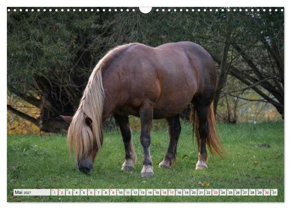 Produktbild: Heimatmomente - L&auml;ndliche Impressionen (Wandkalender 2027 DIN A3 quer), CALVENDO Monatskalender