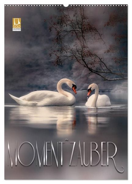 Produktbild: Moment Zauber (Wandkalender 2026 DIN A2 hoch), CALVENDO Monatskalender