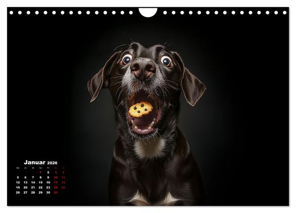 Produktbild: Leckerchen! (Wandkalender 2026 DIN A4 quer), CALVENDO Monatskalender