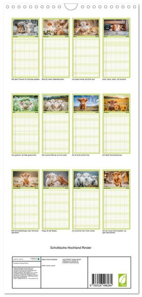 Produktbild: Familienplaner 2026 - Schottische Hochland Rinder mit 5 Spalten (Wandkalender, 21 x 45 cm) CALVENDO