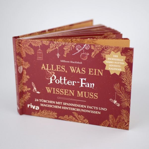 Produktbild: Alles, was ein Potter-Fan wissen muss