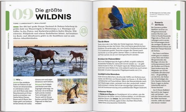Produktbild: LONELY PLANET Reisef&uuml;hrer Entdecke Andalusien