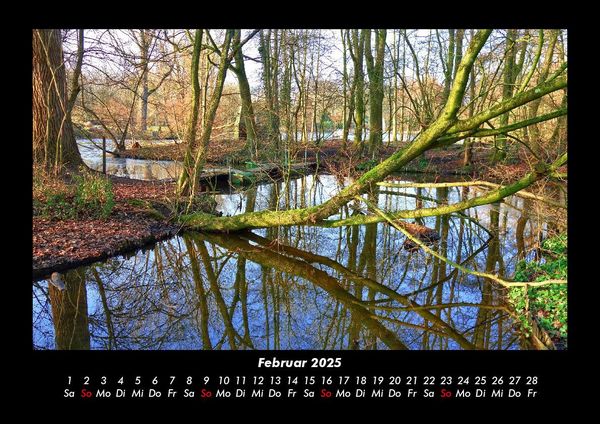 Produktbild: B&auml;ume 2025 Fotokalender DIN A3