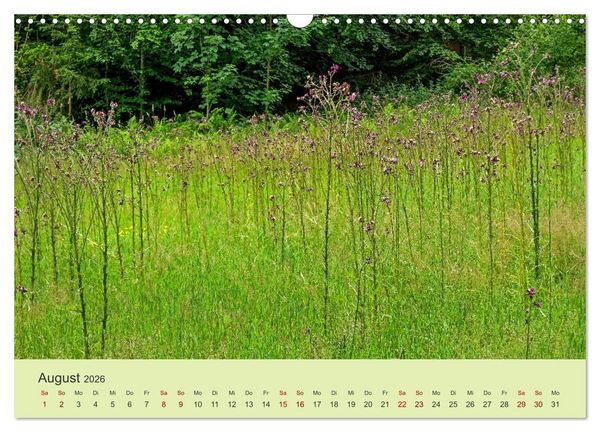 Produktbild: Wilde Blumen - ein Spaziergang durch die Natur (Wandkalender 2026 DIN A3 quer), CALVENDO Monatskalender
