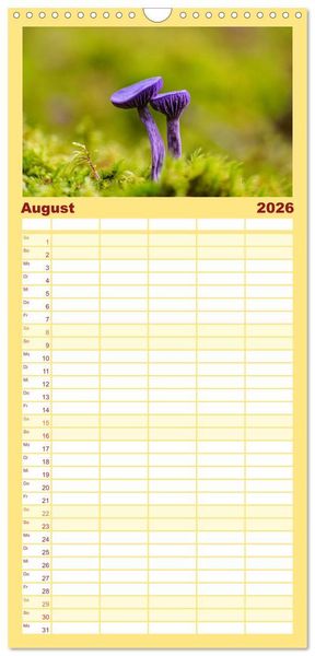 Produktbild: Familienplaner 2026 - Fantastische Pilzwelten mit 5 Spalten (Wandkalender, 21 x 45 cm) CALVENDO