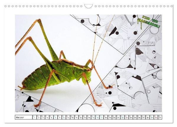 Produktbild: Graffiti trifft auf Fotografie (Wandkalender 2027 DIN A3 quer), CALVENDO Monatskalender