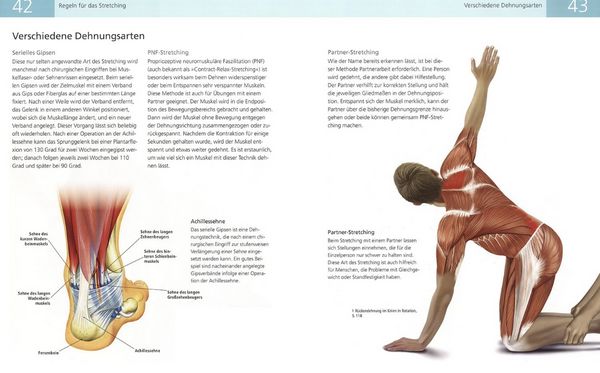 Produktbild: Die Anatomie des Stretchings