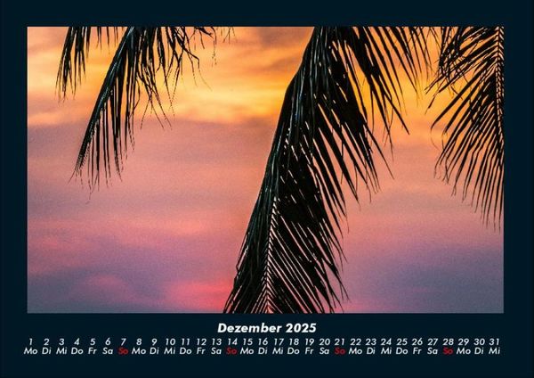 Produktbild: Palmentraum 2025 Fotokalender DIN A4