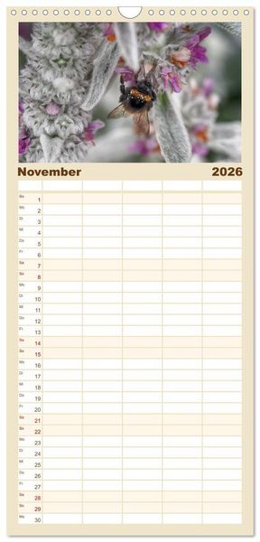Produktbild: Familienplaner 2026 - Hummelflug mit 5 Spalten (Wandkalender, 21 x 45 cm) CALVENDO