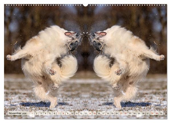 Produktbild: Mit doppelter Power durch das Jahr (hochwertiger Premium Wandkalender 2026 DIN A2 quer), Kunstdruck in Hochglanz