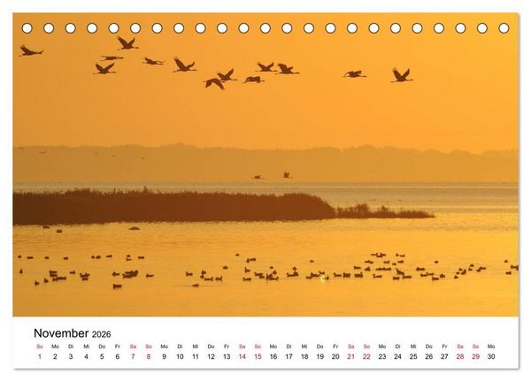 Produktbild: Zug der Kraniche (Tischkalender 2026 DIN A5 quer), CALVENDO Monatskalender