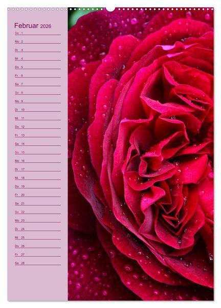 Produktbild: Rosen Symphonie (hochwertiger Premium Wandkalender 2026 DIN A2 hoch), Kunstdruck in Hochglanz