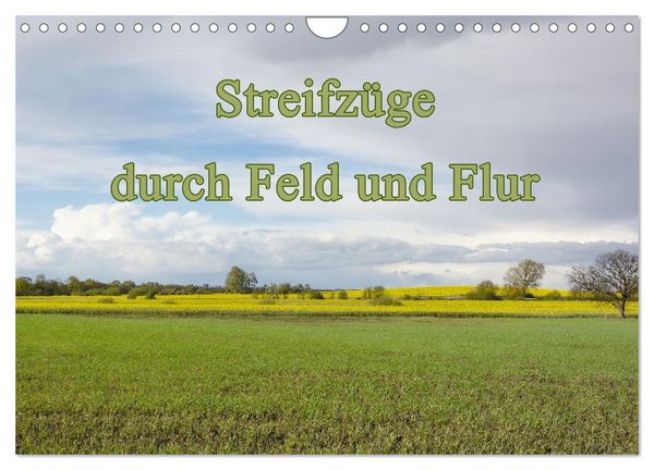 Produktbild: Streifz&uuml;ge durch Feld und Flur (Wandkalender 2026 DIN A4 quer), CALVENDO Monatskalender