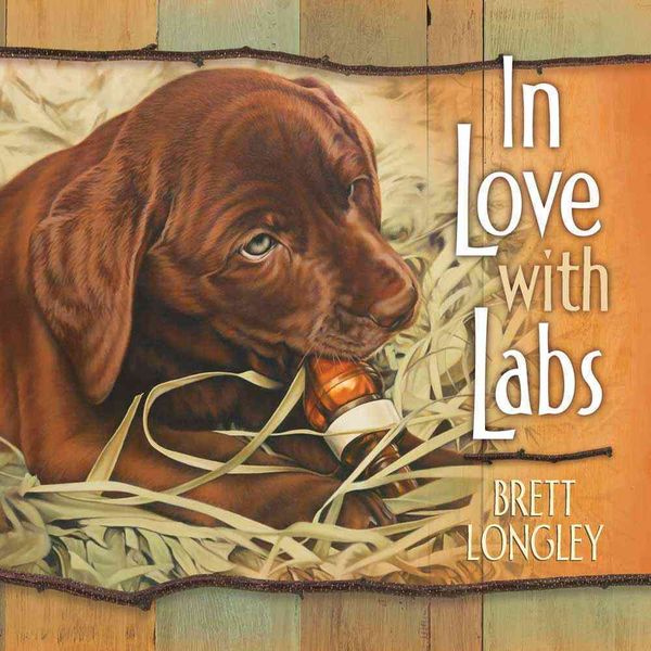 Produktbild: In Love W/labs