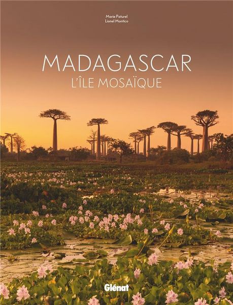 Produktbild: Madagascar : l'&icirc;le mosa&iuml;que