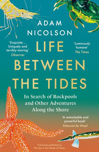 Produktbild: LIFE BETWEEN TIDES PB