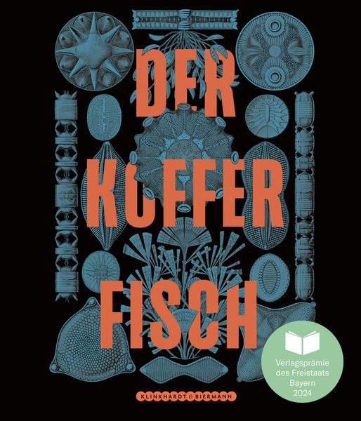 Der Kofferfisch, Gebundene Ausgabe von Marion Blomeyer,Charlotte Vierer, Klinkhardt & Biermann, 978-3-943616-94-1