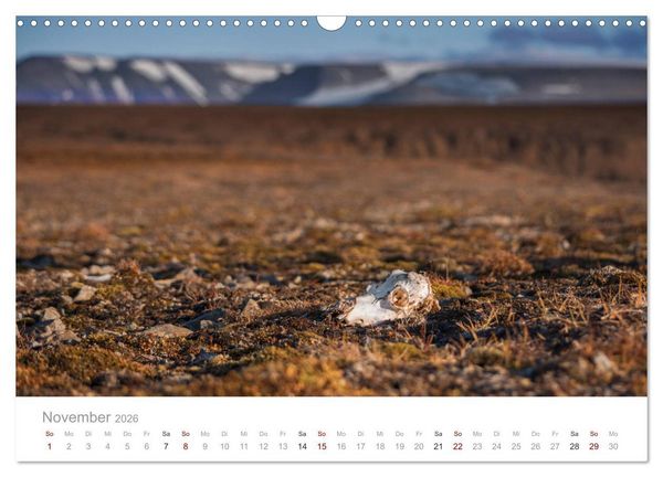 Produktbild: Spitzbergen - Wild.Rau.Ungez&auml;hmt. (Wandkalender 2026 DIN A3 quer), CALVENDO Monatskalender