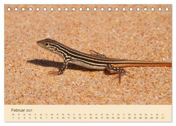 Produktbild: Eidechsen Europas (Tischkalender 2027 DIN A5 quer), CALVENDO Monatskalender