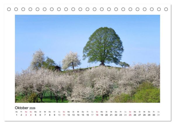 Produktbild: Kirschbl&uuml;te rund um Witzenhausen (Tischkalender 2026 DIN A5 quer), CALVENDO Monatskalender