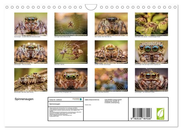 Produktbild: Spinnenaugen (Wandkalender 2027 DIN A4 quer), CALVENDO Monatskalender